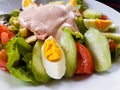 Chef`s salad egg lettuce tomatoe cheese in a plate Royalty Free Stock Photo