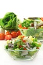 Chef salad Royalty Free Stock Photo