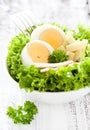 Chef salad Royalty Free Stock Photo