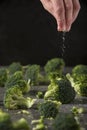 Chef is salting grilled broccoli pieces on the kitchen table.