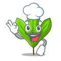Chef sassafras leaf in the cartoon stem
