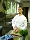 Chef slicing tarragon Royalty Free Stock Photo