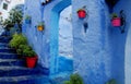 Chefchaouen street with colorful blue flower pots, Morocco Royalty Free Stock Photo