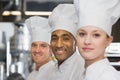 Chefs Royalty Free Stock Photo