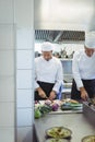 Chefs chopping vegetables Royalty Free Stock Photo
