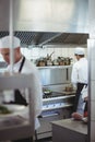 Chefs preparing food in the commercial kitchen Royalty Free Stock Photo
