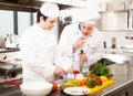 Chefs at work Royalty Free Stock Photo