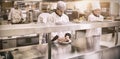 Chefs working in professional kitchen