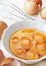 Cheicken egg yelk Royalty Free Stock Photo
