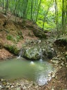 Cheile Borzesti gorges waterfall, Cluj, Romania