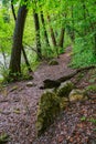 Spring landscape of Nera Gorges Natural Park, Romania, Europe