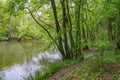Spring landscape of Nera Gorges Natural Park, Romania, Europe