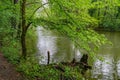 Spring landscape of Nera Gorges Natural Park, Romania, Europe