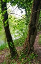 Spring landscape of Nera Gorges Natural Park, Romania, Europe