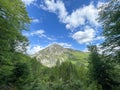 Cheile Rametului view from the forest