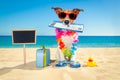 Chek in boarding pass summer dog Royalty Free Stock Photo