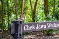 Chek Jawa Wetlands Nature Preserve wooden sign with monkey Long-tailed macaque sitting on it