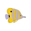 Chelmon rostratus Copperbanded Butterflyfish