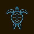 Cheloniidae Turtle Wildlife. Line Symbol icon logo.