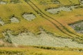 Damaged crops in a field.