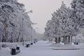 Chelyabinsk. Gagarin`s park in the winter.