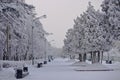 Chelyabinsk. Gagarin`s park in the winter