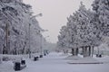 Chelyabinsk. Gagarin's park in the winter.
