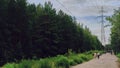 Chelyabinsk Russia - July 3, 2020. Chelyabinsk city forest. People walk along an asphalt road among the forest in the center of