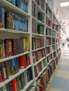 Chelyabinsk, Russian Federation, March 25, 2019, rows of various colorful books lying on the shelves in bookstore