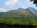 Chembra peak and beautiful Tea Plantation in Wayanad Kerala Royalty Free Stock Photo