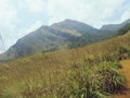 Chembra peak Meppadi Wayanad