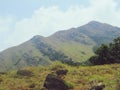 Chembra peak Meppadi Wayanad