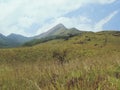 Chembra peak Meppadi Wayanad