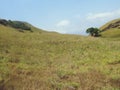 Chembra peak Meppadi Wayanad