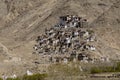 Chemdey gompa, Buddhist monastery in Leh-Ladakh, Jammu & Kashmir, India