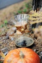 Chemex coffee and big pumpkin on the ground in the autumn forest