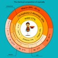 The chemical composition of royal jelly