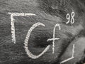 The chemical element is californium with a serial number from the periodic table. Chalk drawing.