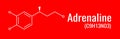 Chemical formula of adrenaline, vector structure of molecule Royalty Free Stock Photo