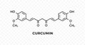 Chemical formula of curcumin turmeric. Vector skeletal structure of curcumin. Food flavoring and coloring