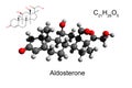 Chemical formula, skeletal formula and 3D ball-and-stick model of the hormone aldosterone, white background