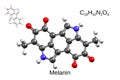 Chemical formula, skeletal formula and 3D ball-and-stick model of melanin