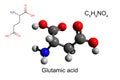 Chemical formula structural formula and 3D ball-and-stick model of L-glutamic acid