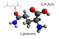 Chemical formula, structural formula and 3D ball-and-stick model of L-glutamine