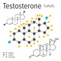 Chemical formula of a vector testosterone molecule