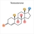 Chemical formula testosterone male hormone science