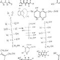 Chemical formulas. Seamless pattern. Vector background on white. Royalty Free Stock Photo