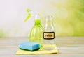 Using natural destilled white vinegar in spray bottle to remove stains. Royalty Free Stock Photo