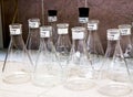 Chemical laboratory Royalty Free Stock Photo