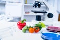 Chemical Laboratory of the Food supply . Food in laboratory, dna modify .GMO Genetically modified food in lab Royalty Free Stock Photo